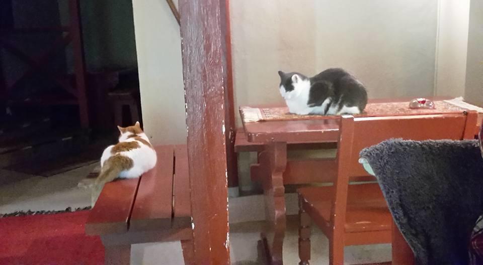 Hostel Panget Dragsfjard Ngoại thất bức ảnh